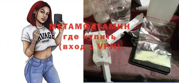 молекула духа Пересвет