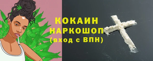 молекула духа Переславль-Залесский