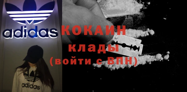 индика Покров