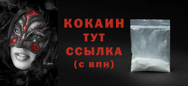 молекула духа Пересвет