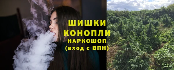молекула духа Переславль-Залесский
