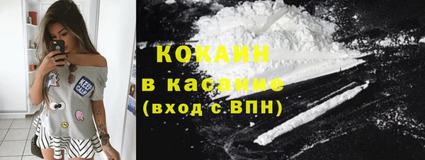 молекула духа Пересвет
