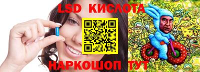 молекула духа Берёзовский