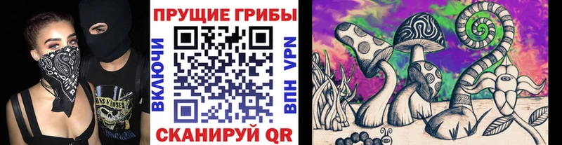 Галлюциногенные грибы мухоморы  как найти наркотики  Балашиха 
