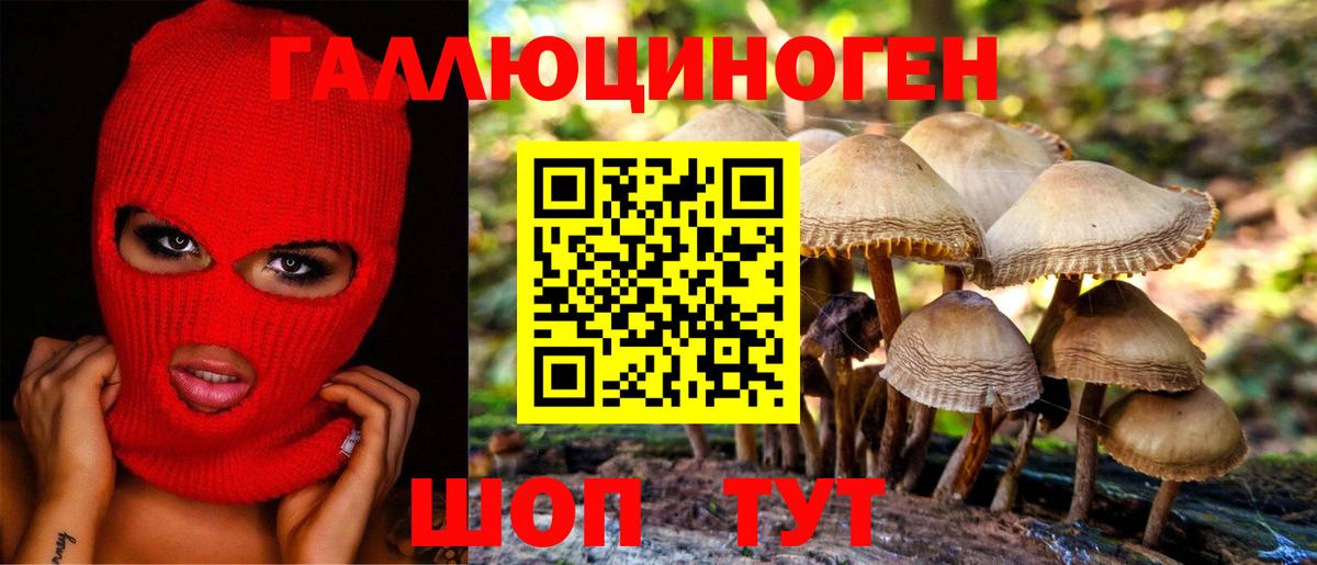 ГАШ Балашиха